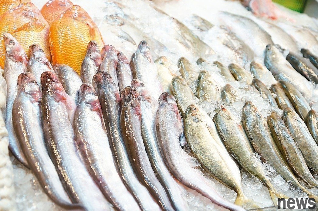 魚肉對人體重要性有哪些?每周要吃魚幾次?